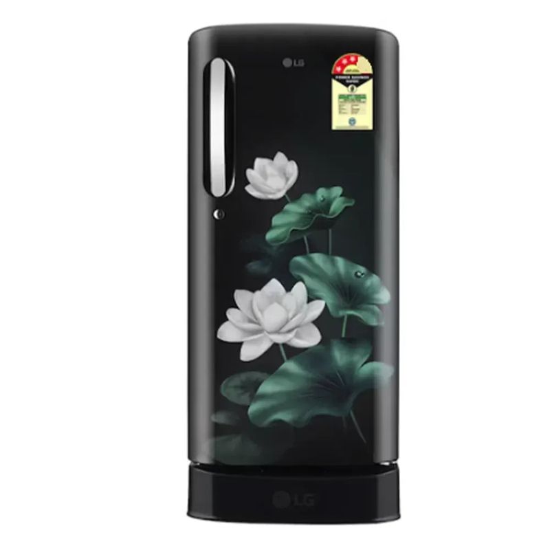 LG GLD1936ZAEL Direct Cool (Single Door)