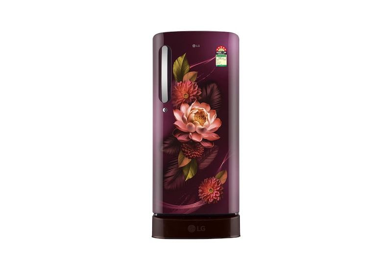 LG GLD1956ZARW Direct Cool (Single Door)