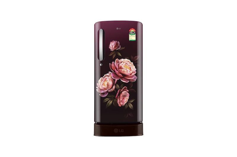 LG GLD1956ZAWG Direct Cool (Single Door)