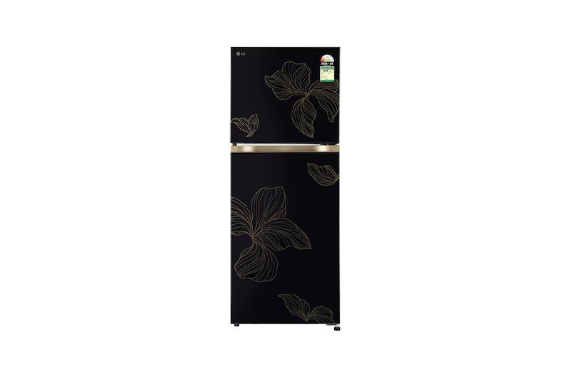 LG GLT2216WYRO Top Freezer (OFF)